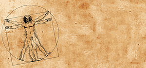 Vitruvian Man by Leonardo Da Vinci